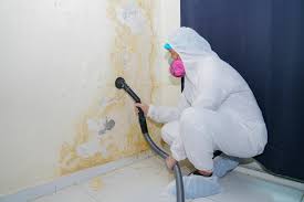 Why You Should Choose Our Mold Remediation Services in Vernon Center, NJ